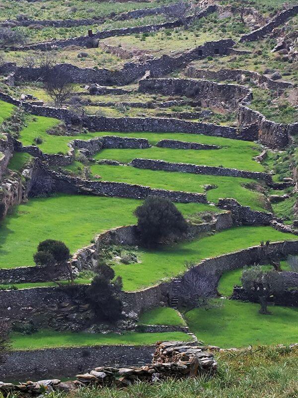 Affiche du court métrage La Pierre sèche au fil du temps (2026) de Giannis Spiliopoulos Affiche du court métrage La Pierre sèche au fil du temps (2026) de Giannis Spiliopoulos. Voir La Pierre sèche au fil du temps en streaming / torrent sur meilleurs-films.fr