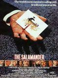Affiche du film La Salamandre (1981) de Peter Zinner Affiche du film La Salamandre (1981) de Peter Zinner. Voir La Salamandre en streaming / torrent sur meilleurs-films.fr