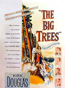 Affiche du film La Vallée des géants (1952) de Felix Feist. Voir La Vallée des géants en streaming / torrent sur meilleurs-films.fr