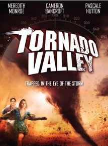 Affiche du film La Vallée des tempêtes (2009) de Andrew C. Erin. Voir La Vallée des tempêtes en streaming / torrent sur meilleurs-films.fr