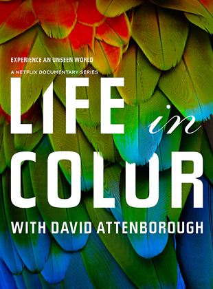 Affiche de la série La Vie en couleurs avec David Attenborough (2021) de David Attenborough Affiche de la série La Vie en couleurs avec David Attenborough (2021) de David Attenborough. Voir La Vie en couleurs avec David Attenborough en streaming / torrent sur meilleurs-films.fr