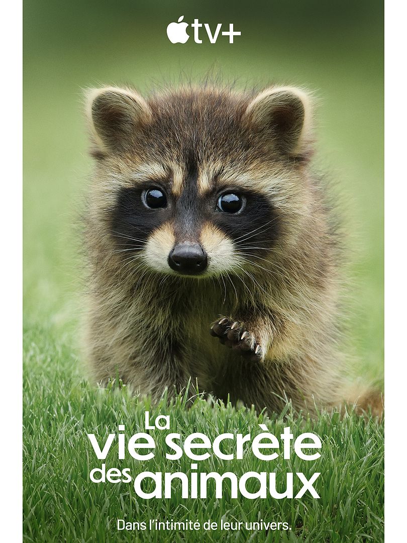 Affiche de la série La Vie secrète des animaux (2024) de . Voir La Vie secrète des animaux en streaming / torrent sur meilleurs-films.fr