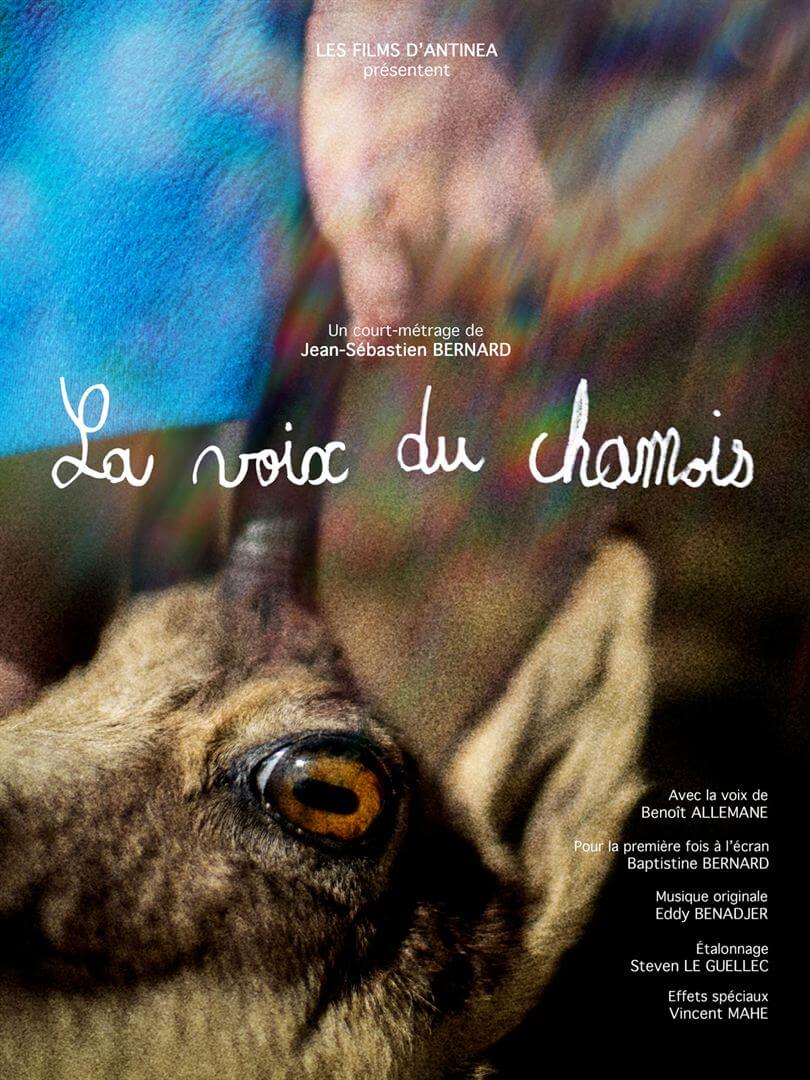 Affiche du court métrage La Voix du Chamois (2025) de Jean-Sébastien Bernard. Voir La Voix du Chamois en streaming / torrent sur meilleurs-films.fr