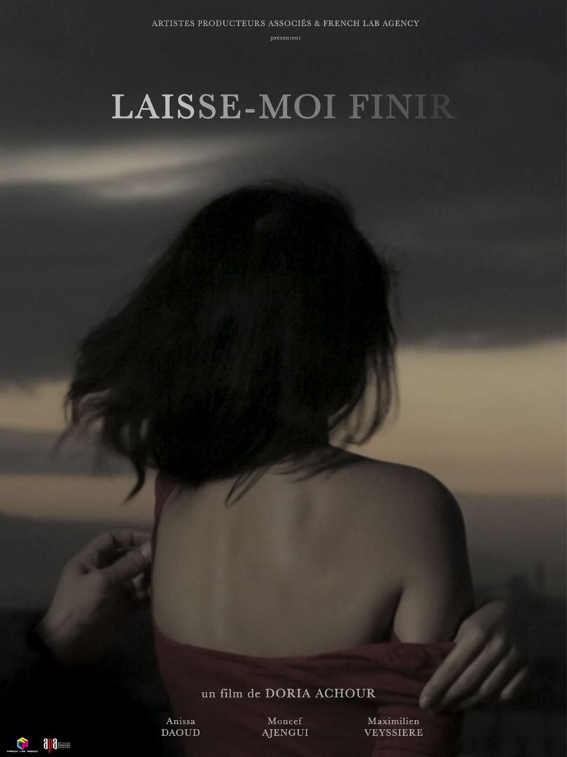 Affiche du court métrage Laisse-moi finir (2014) de Doria Achour Affiche du court métrage Laisse-moi finir (2014) de Doria Achour. Voir Laisse-moi finir en streaming / torrent sur meilleurs-films.fr