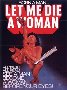 Affiche du film Laissez-moi etre une femme (1979) de Doris Wishman. Voir Laissez-moi etre une femme en streaming / torrent sur meilleurs-films.fr