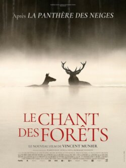 Affiche du film Une nuit sous un sapin (2025) de Vincent Munier.