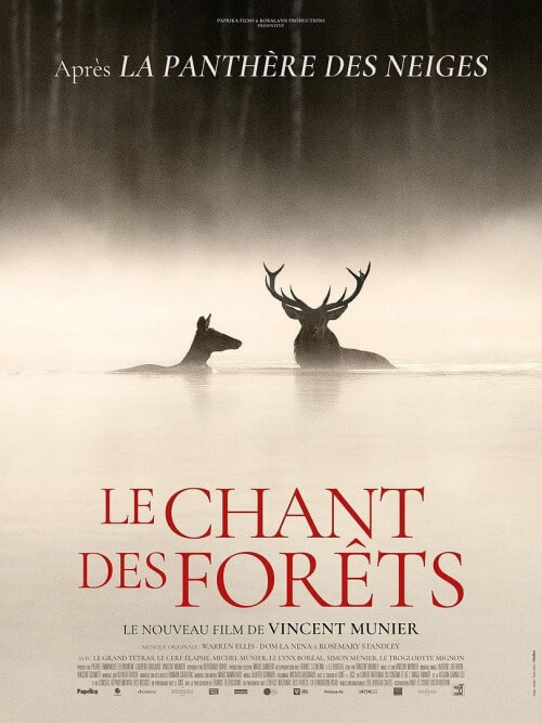 Affiche du film Une nuit sous un sapin (2025) de Vincent Munier.