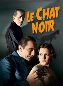 Affiche du film Le Chat noir (1934) de Edgar G. Ulmer Affiche du film Le Chat noir (1934) de Edgar G. Ulmer. Voir Le Chat noir en streaming / torrent sur meilleurs-films.fr