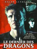 Affiche du film Le dernier des dragons (1999) de Isaac Florentine. Voir Le dernier des dragons en streaming / torrent sur meilleurs-films.fr