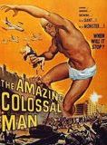Affiche du film Le Fantastique Homme colosse (1957) de Bert I. Gordon. Voir Le Fantastique Homme colosse en streaming / torrent sur meilleurs-films.fr