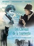 Affiche du film Le Galop de la liberté (2002) de Eleanor Lindo. Voir Le Galop de la liberté en streaming / torrent sur meilleurs-films.fr