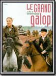 Affiche du film Le Grand Galop (1995) de Krzysztof Zanussi. Voir Le Grand Galop en streaming / torrent sur meilleurs-films.fr
