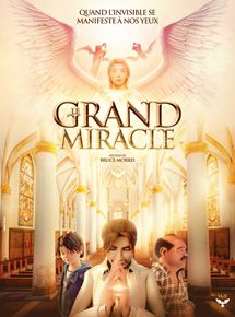 Affiche du film Le Grand Miracle (2011) de Bruce Morrison. Voir Le Grand Miracle en streaming / torrent sur meilleurs-films.fr