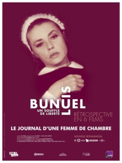 Jaquette du film Le Journal d'une femme de chambre