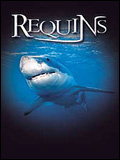 Affiche du court métrage Le Monde des requins – Requins 3D () de Jean-Jacques Mantello. Voir Le Monde des requins – Requins 3D en streaming / torrent sur meilleurs-films.fr