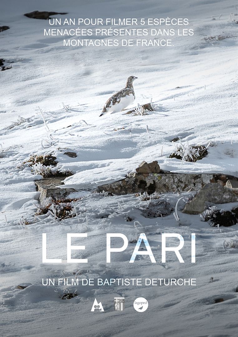 Affiche du film Le Pari (2022) de Baptiste Deturche Affiche du film Le Pari (2022) de Baptiste Deturche. Voir Le Pari en streaming / torrent sur meilleurs-films.fr