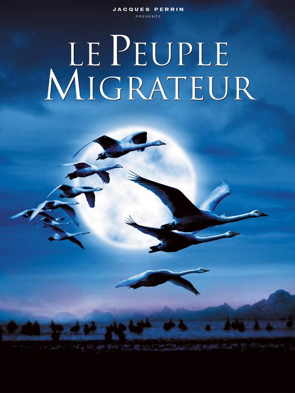 Affiche du film Le peuple migrateur (2001) de Jacques Cluzaud. Voir Le peuple migrateur en streaming / torrent sur meilleurs-films.fr