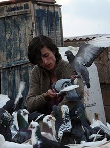 Affiche du film Le Pigeon (2018) de Banu S?vac?. Voir Le Pigeon en streaming / torrent sur meilleurs-films.fr