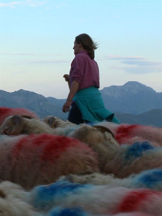 Affiche du film Le Plus vieux serment d’Europe (2023) de Domingo Moreno. Voir Le Plus vieux serment d’Europe en streaming / torrent sur meilleurs-films.fr