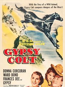 Affiche du film Le Poulain noir (1954) de Andrew Marton. Voir Le Poulain noir en streaming / torrent sur meilleurs-films.fr