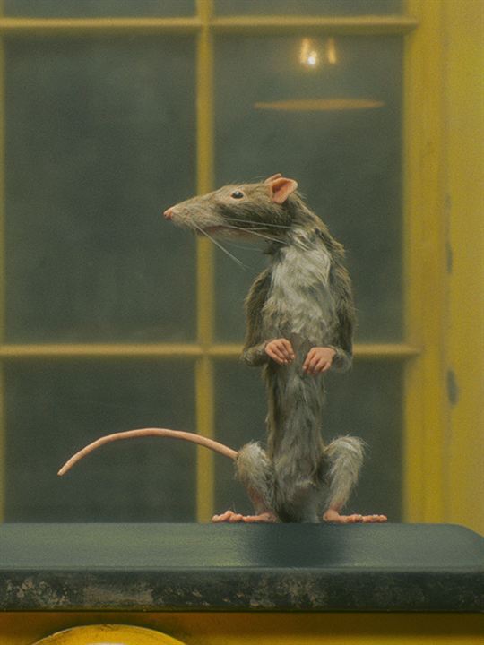 Affiche du court métrage Le Preneur de rats (2023) de Wes Anderson. Voir Le Preneur de rats en streaming / torrent sur meilleurs-films.fr