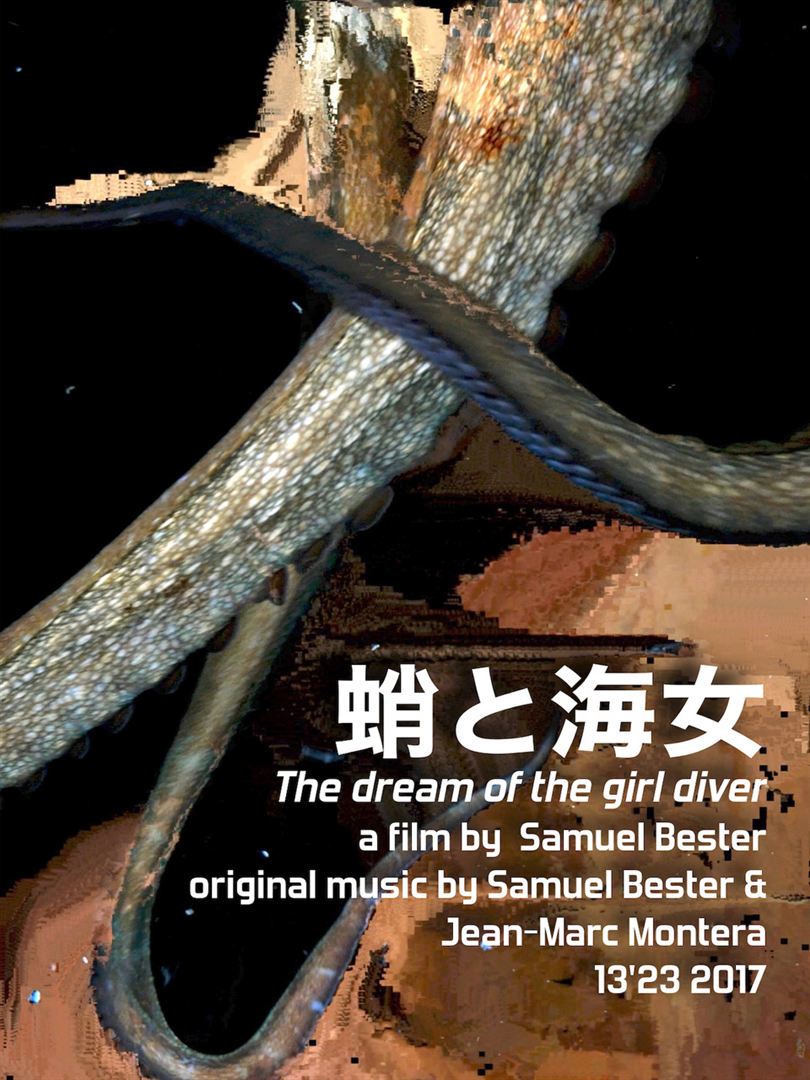 Affiche du court métrage Le rêve de la pêcheuse (2017) de Samuel Bester. Voir Le rêve de la pêcheuse en streaming / torrent sur meilleurs-films.fr