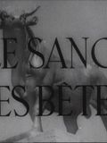 Affiche du court métrage Le Sang des bêtes (1948) de Georges Franju. Voir Le Sang des bêtes en streaming / torrent sur meilleurs-films.fr