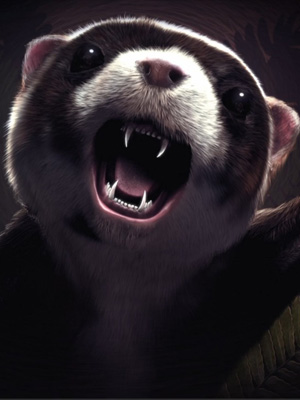 Affiche du court métrage Le Taxidermiste (2011) de Dorianne Fibleuil. Voir Le Taxidermiste en streaming / torrent sur meilleurs-films.fr