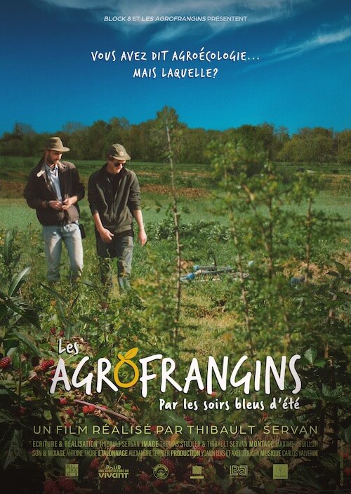 Affiche du court métrage Les Agrofrangins, par les soirs bleus d’été (2025) de Thibault Servan Affiche du court métrage Les Agrofrangins, par les soirs bleus d’été (2025) de Thibault Servan. Voir Les Agrofrangins, par les soirs bleus d’été en streaming / torrent sur meilleurs-films.fr