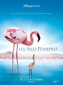 Affiche du film Les Ailes pourpres : le mystère des flamants (2008) de Matthew Aeberhard,Leander Ward,. Voir Les Ailes pourpres : le mystère des flamants en streaming / torrent sur meilleurs-films.fr