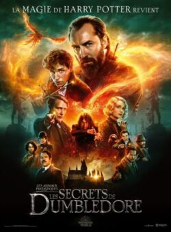 Affiche du film Les Animaux Fantastiques 3 : Les Secrets de Dumbledore (2022) de David Yates & Steve Kloves.