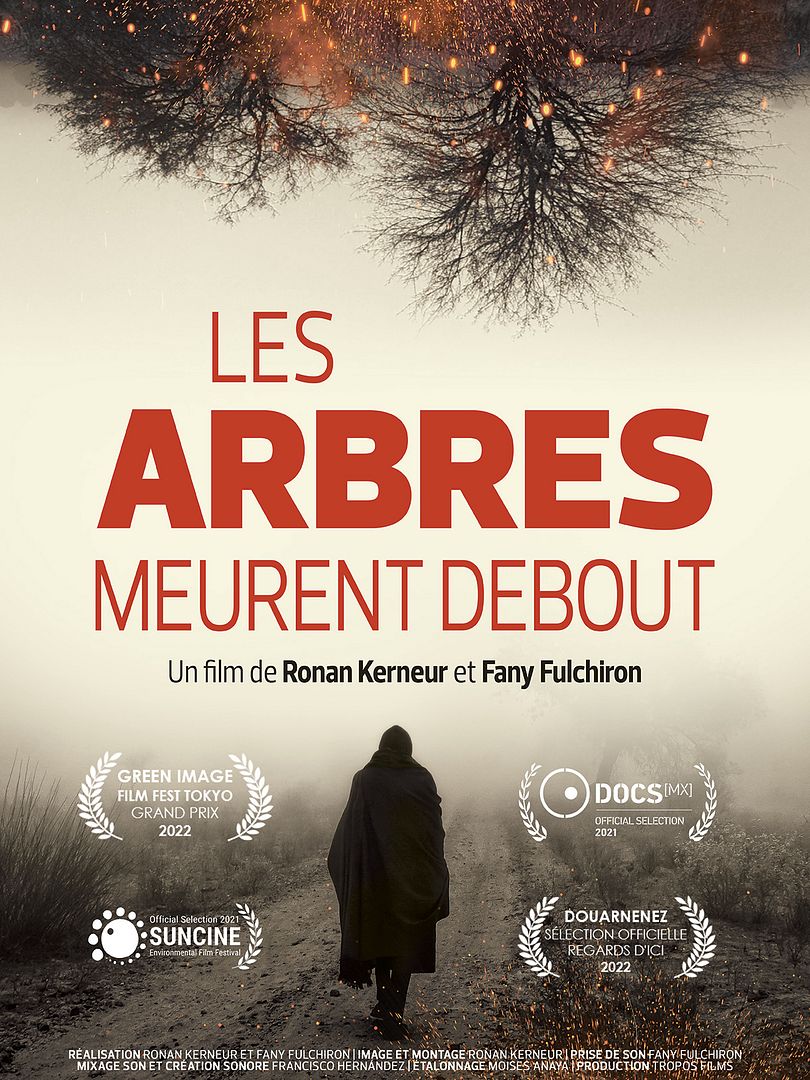 Affiche du film Les Arbres meurent debout (2023) de Fany Fulchiron. Voir Les Arbres meurent debout en streaming / torrent sur meilleurs-films.fr