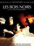 Affiche du film Les Bois Noirs (1989) de Jacques Deray Affiche du film Les Bois Noirs (1989) de Jacques Deray. Voir Les Bois Noirs en streaming / torrent sur meilleurs-films.fr
