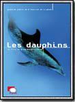 Affiche du film Les dauphins (2000) de Greg MacGillivray. Voir Les dauphins en streaming / torrent sur meilleurs-films.fr