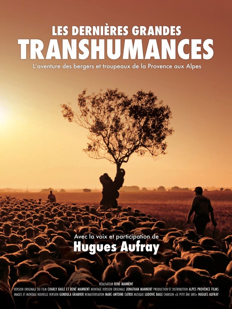 Affiche du film Les Dernières grandes Transhumances (2025) de René Mannent