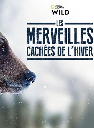 Affiche de la série Les merveilles cachées de l’hiver (2021) de . Voir Les merveilles cachées de l’hiver en streaming / torrent sur meilleurs-films.fr