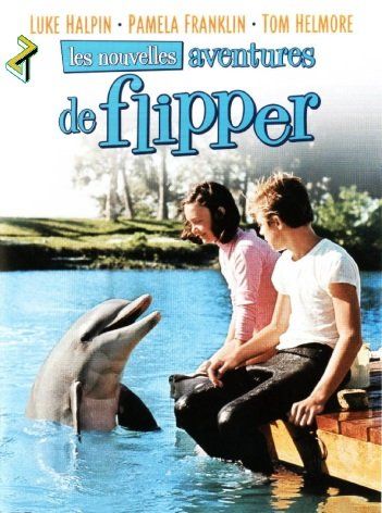 Affiche du film Les Nouvelles Aventures de Flipper le dauphin (1964) de Leon Benson. Voir Les Nouvelles Aventures de Flipper le dauphin en streaming / torrent sur meilleurs-films.fr