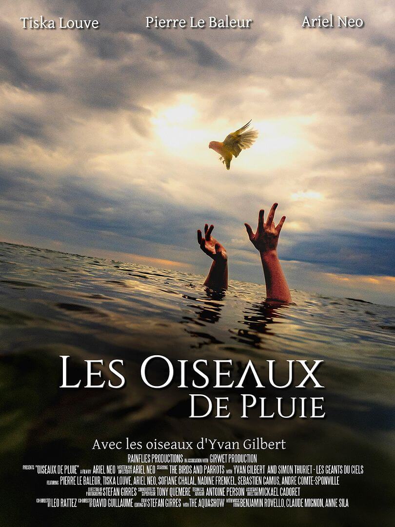 Affiche du film Les Oiseaux de Pluie (2025) de Ariel Neo