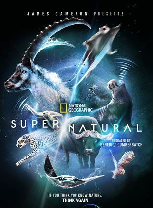 Affiche de la série Les pouvoirs extraordinaires de la nature (2022) de . Voir Les pouvoirs extraordinaires de la nature en streaming / torrent sur meilleurs-films.fr