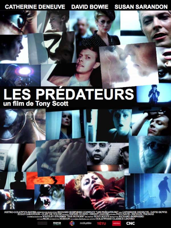 Affiche du film Les Prédateurs (1983) de Tony Scott Affiche du film Les Prédateurs (1983) de Tony Scott. Voir Les Prédateurs en streaming / torrent sur meilleurs-films.fr
