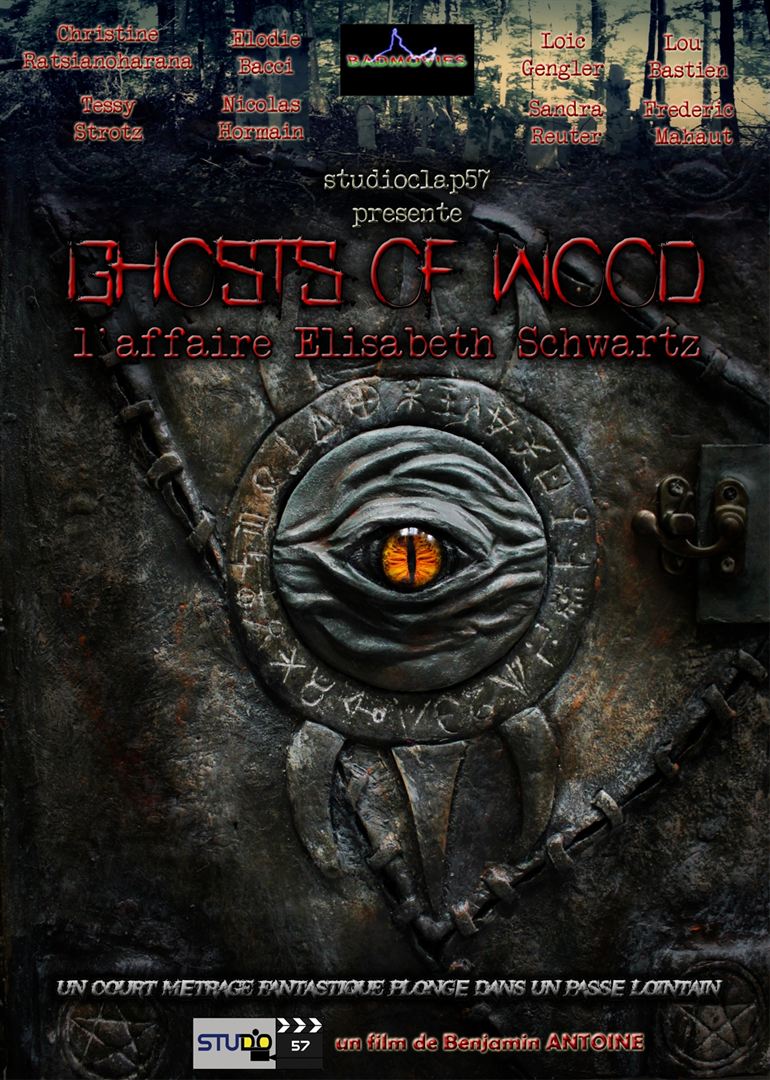 Affiche du court métrage Les Revenants du bois: l’affaire Elisabeth Schwartz (2018) de Benjamin Antoine Affiche du court métrage Les Revenants du bois: l’affaire Elisabeth Schwartz (2018) de Benjamin Antoine. Voir Les Revenants du bois: l’affaire Elisabeth Schwartz en streaming / torrent sur meilleurs-films.fr