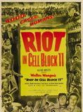 Affiche du film Les Révoltés de la cellule 11 (1954) de Don Siegel. Voir Les Révoltés de la cellule 11 en streaming / torrent sur meilleurs-films.fr
