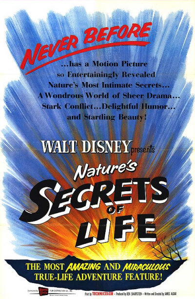 Affiche du court métrage Les Secrets de la vie (1956) de Walt Disney. Voir Les Secrets de la vie en streaming / torrent sur meilleurs-films.fr