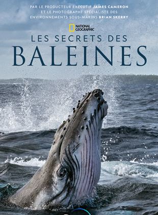 Affiche de la série Les Secrets des baleines (2021) de Brian Skerry. Voir Les Secrets des baleines en streaming / torrent sur meilleurs-films.fr