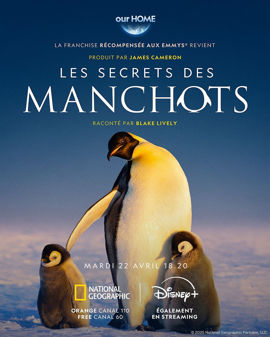 Affiche de la série Les Secrets des manchots (2025) de . Voir Les Secrets des manchots en streaming / torrent sur meilleurs-films.fr