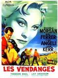 Affiche du film Les Vendanges (1957) de Jeffrey Hayden Affiche du film Les Vendanges (1957) de Jeffrey Hayden. Voir Les Vendanges en streaming / torrent sur meilleurs-films.fr