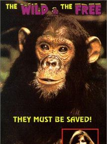 Affiche du film Libre et sauvage (1980) de James Hill. Voir Libre et sauvage en streaming / torrent sur meilleurs-films.fr