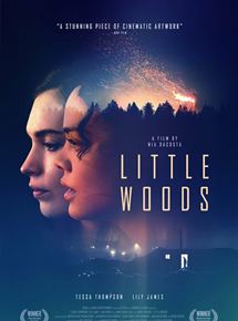 Affiche du film Little Woods (2018) de Nia DaCosta Affiche du film Little Woods (2018) de Nia DaCosta. Voir Little Woods en streaming / torrent sur meilleurs-films.fr