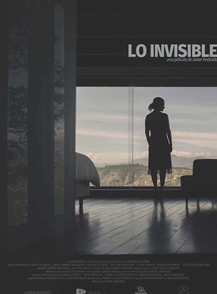 Affiche du film Lo invisible (2022) de Anahi Hoeneisen Affiche du film Lo invisible (2022) de Anahi Hoeneisen. Voir Lo invisible en streaming / torrent sur meilleurs-films.fr