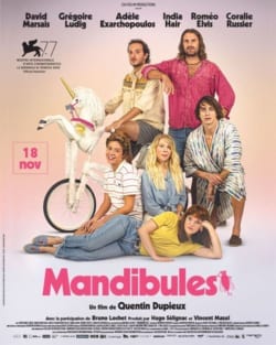 Affiche du film Mandibules (2020) de Quentin Dupieux.